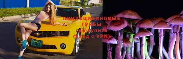 гашик Абинск