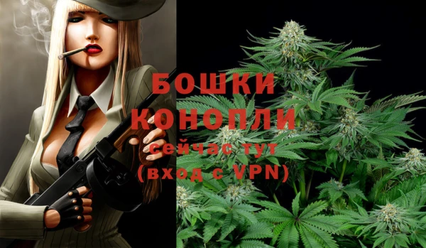 бошки Абаза