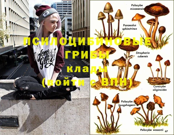 бошки Абаза