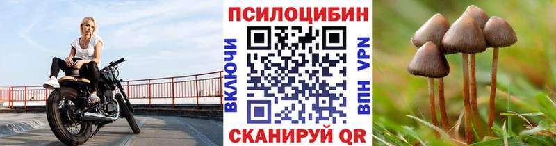 Галлюциногенные грибы ЛСД Струнино