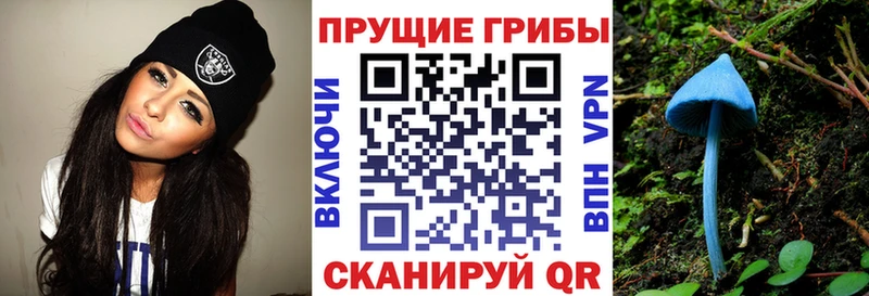 MEGA ТОР  Струнино  Псилоцибиновые грибы MAGIC MUSHROOMS  купить наркотики сайты 